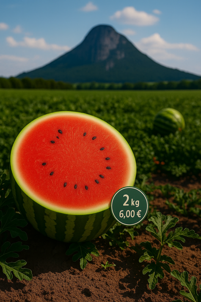 Bio Wassermelonen